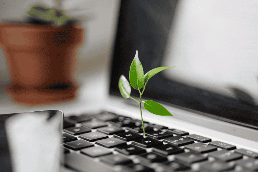 Planta crescendo entre as teclas de um notebook em ambiente doméstico