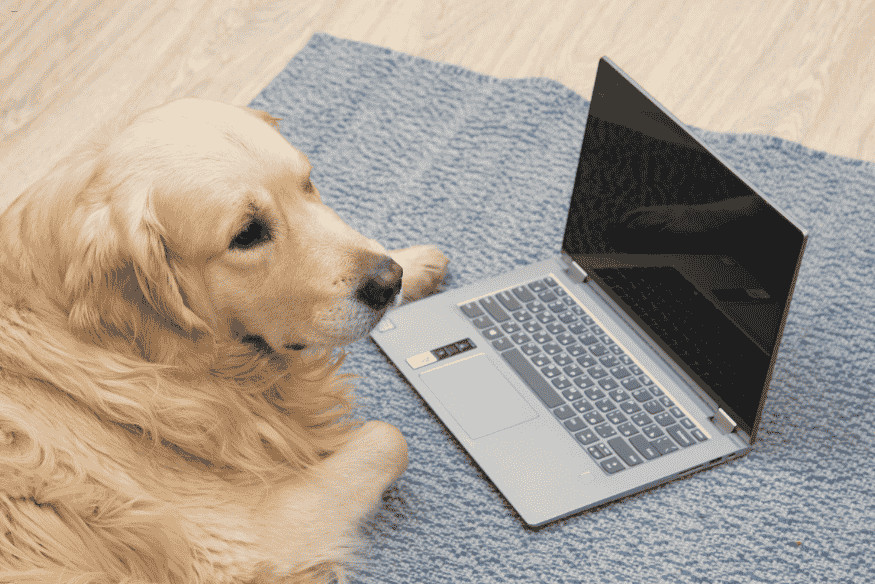 Comparativo: notebooks ultrafinos vs. tradicionais
